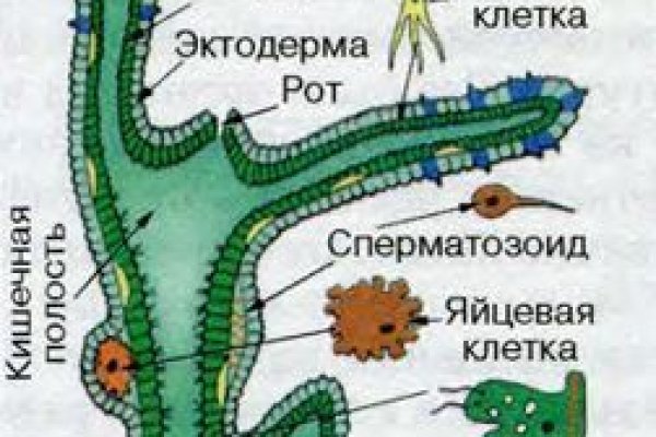 Kraken ссылка tor официальный сайт