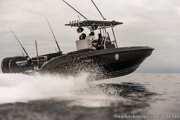 Kraken 19 at
