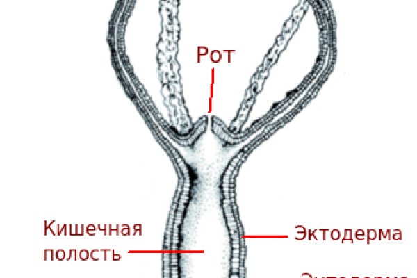 Кракен ссылка trikky
