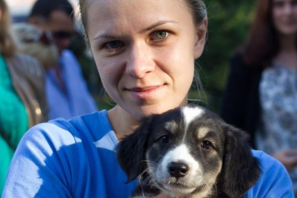 Кракен почему не заходит