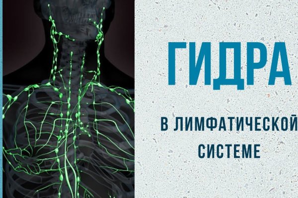Кракен даркнет store kraken dark link