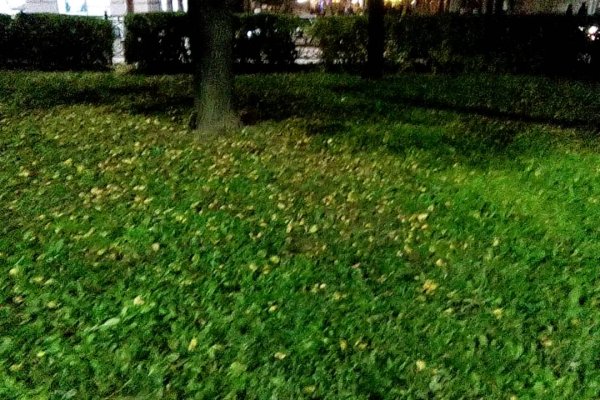 Кракен 9 at