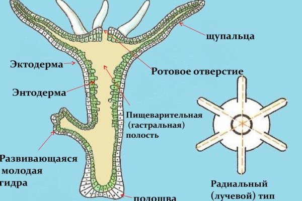 Кракен маркетплейс создатель