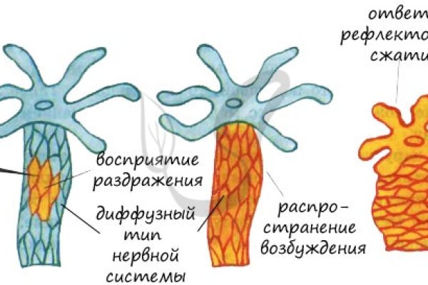 Что за площадка кракен